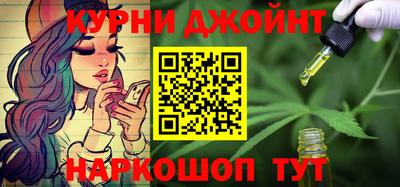 сатива Кингисепп