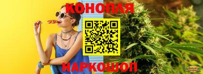 сатива Кингисепп