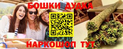 сатива Кингисепп