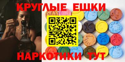 сатива Кингисепп