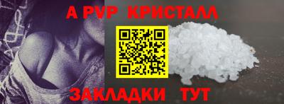 сатива Кингисепп