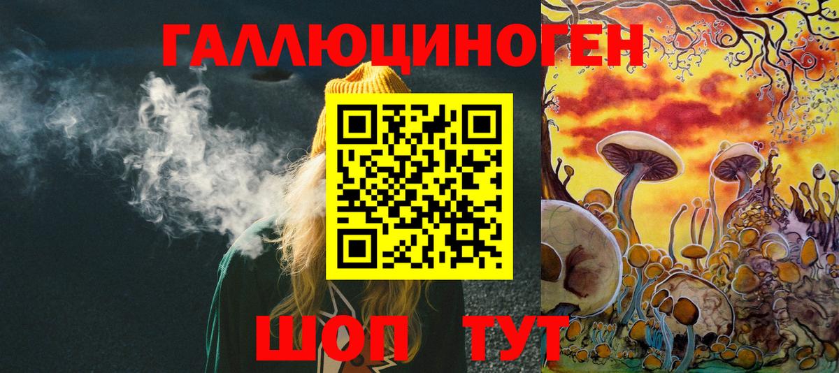 Псилоцибиновые грибы Psilocybe  Вход с VPN  Торжок  Псилоцибиновые грибы Psilocybe 